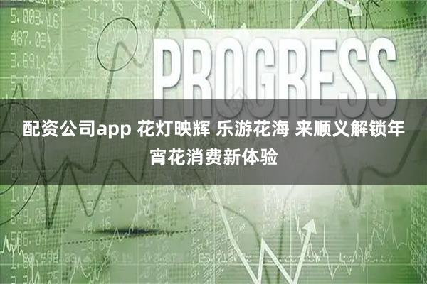配资公司app 花灯映辉 乐游花海 来顺义解锁年宵花消费新体验